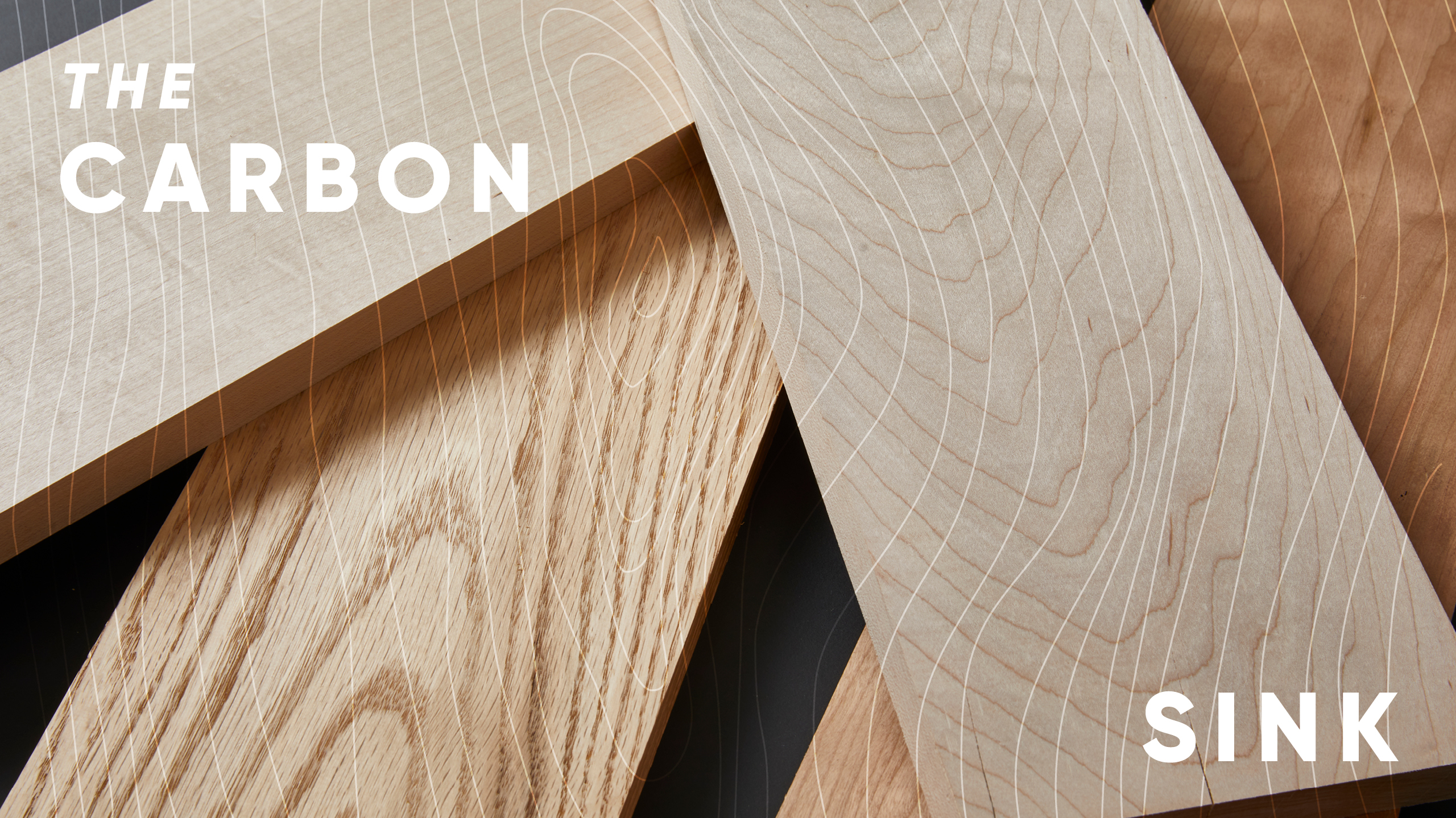 The Carbon Sink