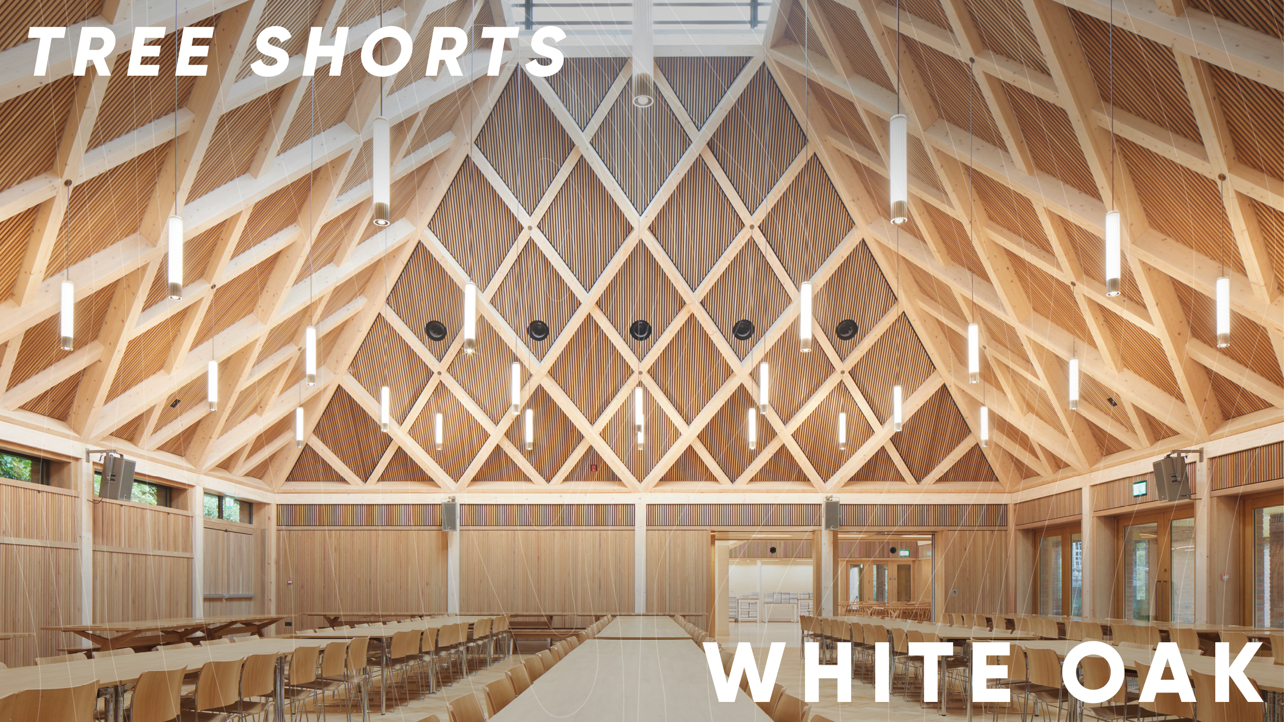 Words on Wood | Tree shorts: white oak