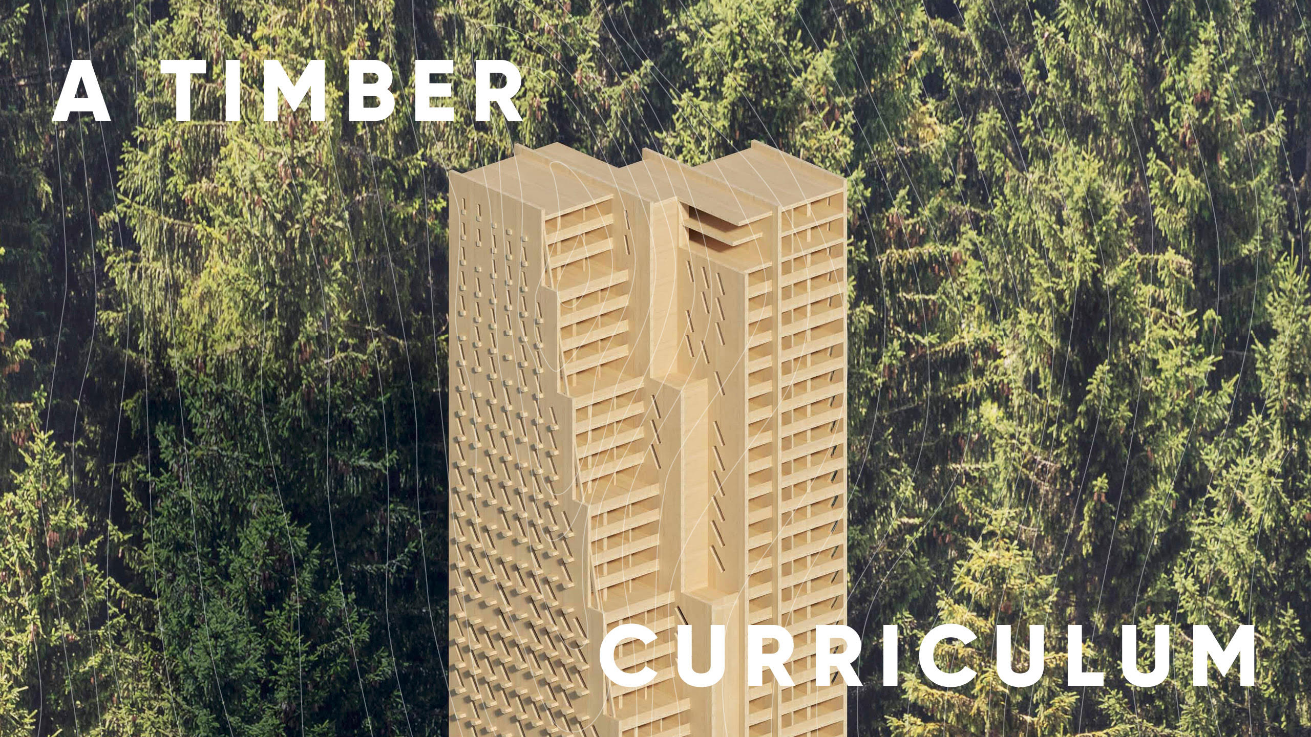 A Timber Curriculum with Judith Lösing, Hanif Kara and Kenn Busch 