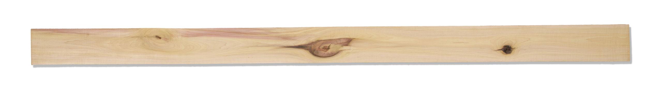 American Tulipwood 2AC
