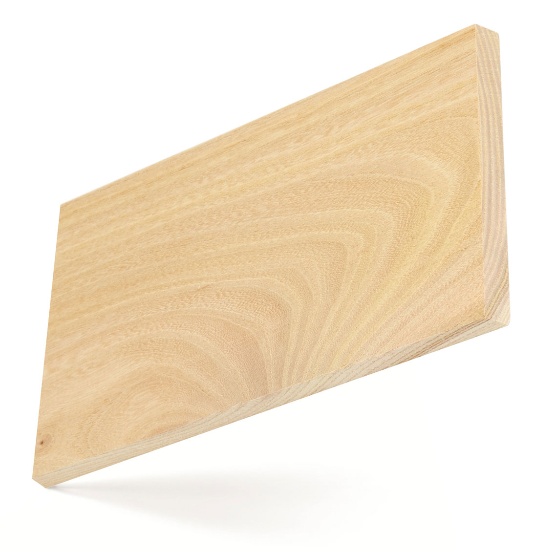 American_elm_big