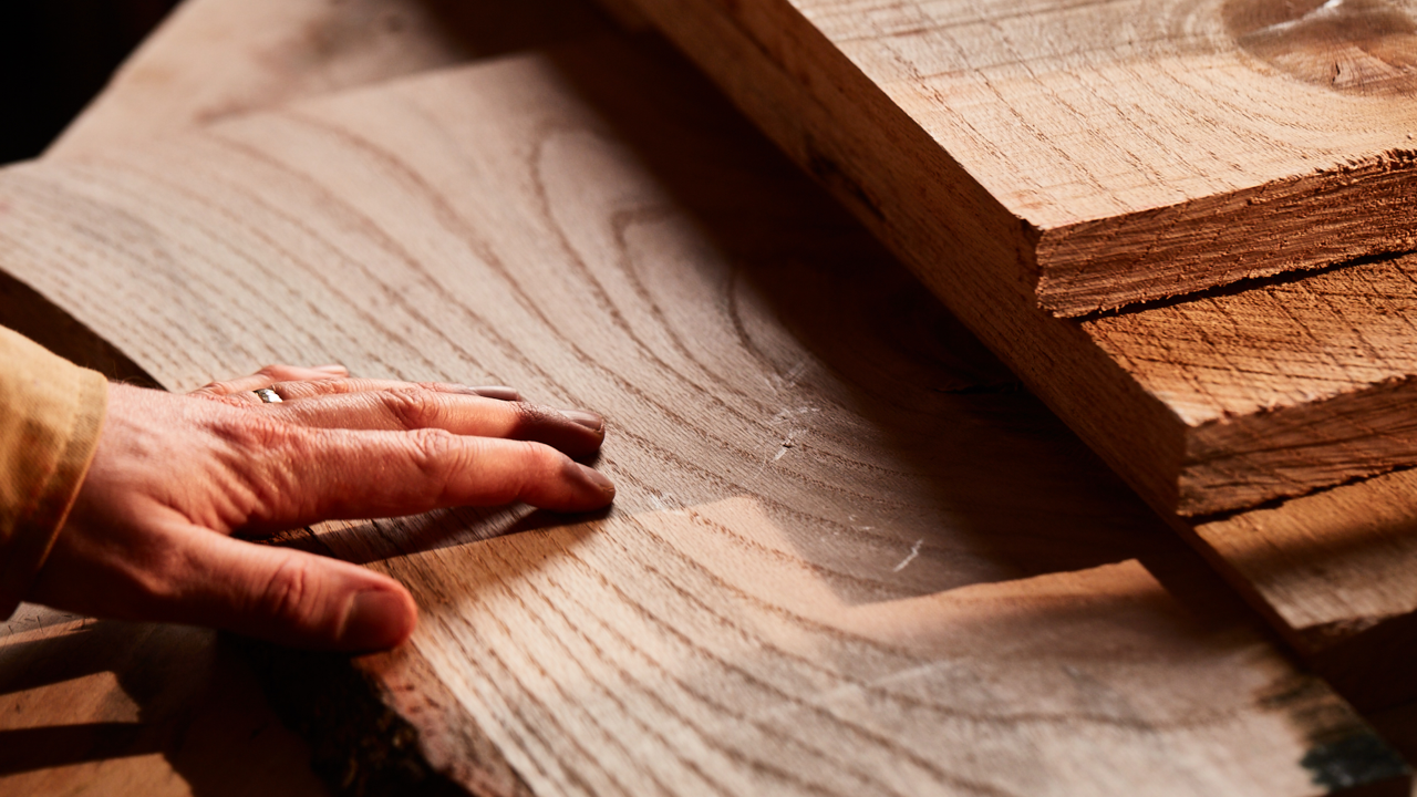 American red oak