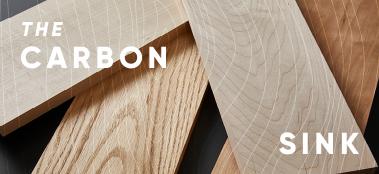 The Carbon Sink