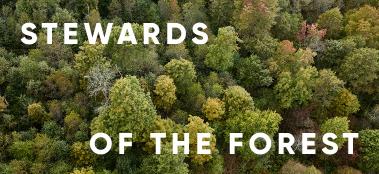 Stewards of the forest