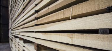 American-tulipwood_credit-Troy-Glasgow_landthumb