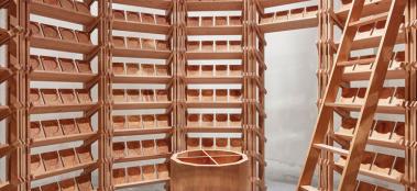 Rotunda Serotina_Giovanni Nardi Photography_ American cherry_landthumb