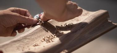 wood-first-teaser-image