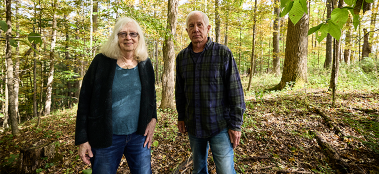 Stewards of The Forest: Bust and boom