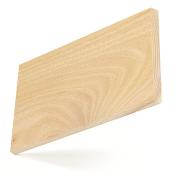 American_elm_small