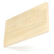 American_hackberry_small