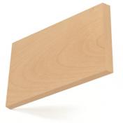 American_Beech_small.jpg