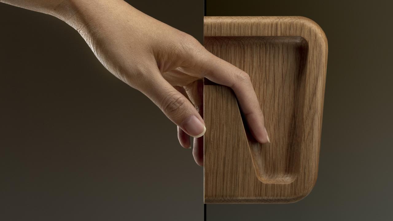 TIRAR TUI FRAMELESS GLASS SLIDING DOOR PULL AWO-1 carousel.jpg
