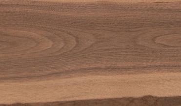 heartwood sapwood