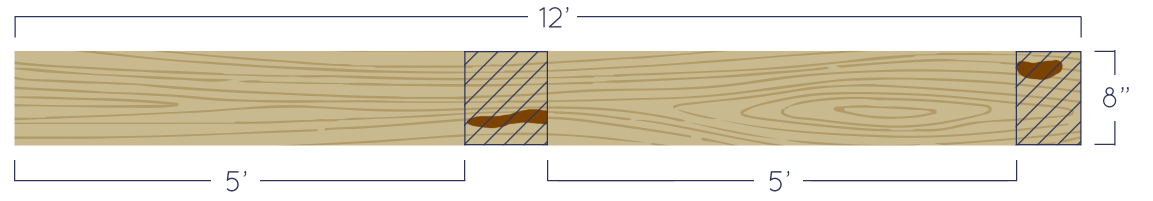 FASbis