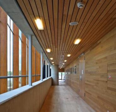 School of Music floor, wall and ceiling cladding