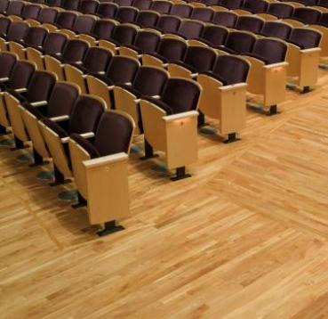 Flooring and theatre seating