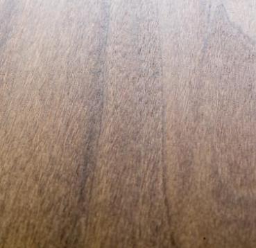 American willow