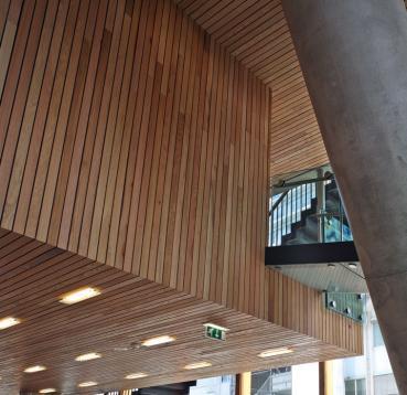 Amsterdam School of Music by Fritz van Dongen 