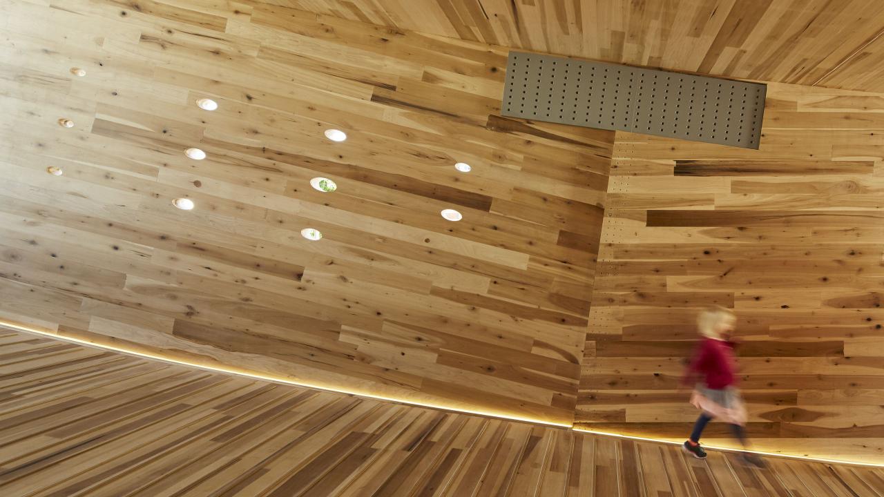 The-Smile_LDF_Arup_ABA_AHEC_American-tulipwood_-CLT_Credit-Tom-Riddle-01_carousel.jpg