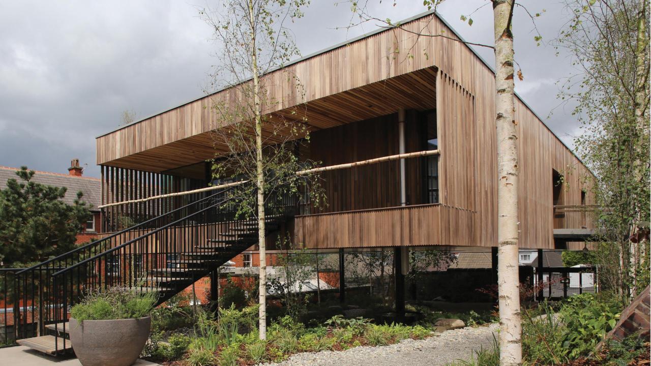 Maggies_building_dRMM_CLT tulipwood