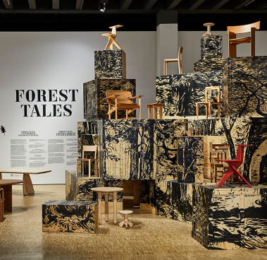 Forest Tales_Outcome