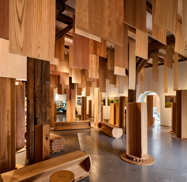 Wood for the Trees_Outcome