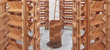 RotundaSerotina_Kolman-Boye_Cherry_Giovanni-Nardi-Photography_9-(2)_landthumb.jpg
