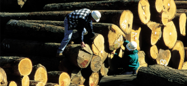 AHEC Comment on draft EU Deforestation Law