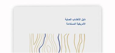 arabic rteaser