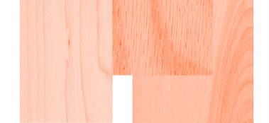 wood for trees teaser