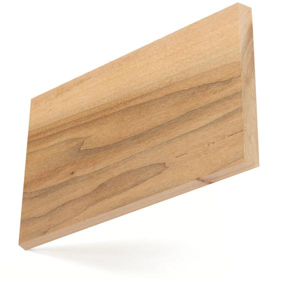 American_Willow_big