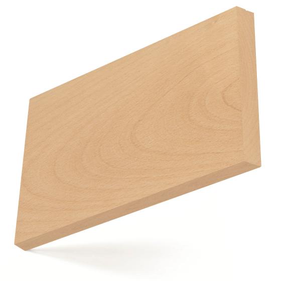 American_Beech_big.jpg
