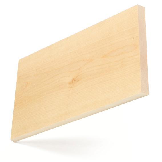 American_yellow_birch