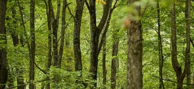 seneca creek